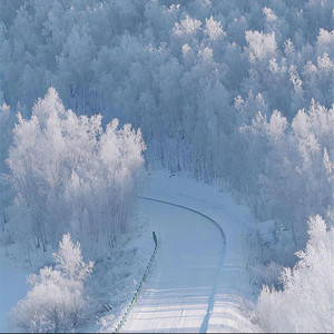 MONTAGEM - FELL DOWN (宿命感)