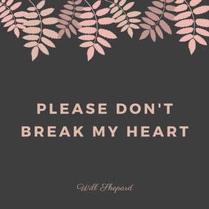 Please Don't Break My Heart