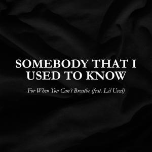 Somebody That I Used To Know (feat. Lil Used)