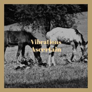 Vibrations Ascertain