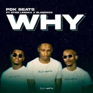 WHY(feat. Stige Lebaka & BlaqZicco) (Explicit)