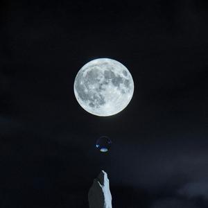 MiSCONCEPTiON (feat. Wool Wol, Moe Moe & Audra Self) (Explicit)