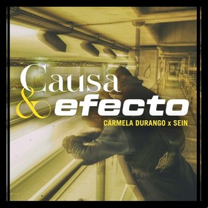 Causa y efecto (Explicit)