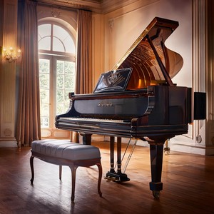 Relajante piano hombre - Tonos De Piano De Serenidad