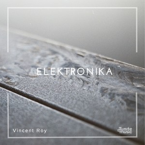 Elektronika