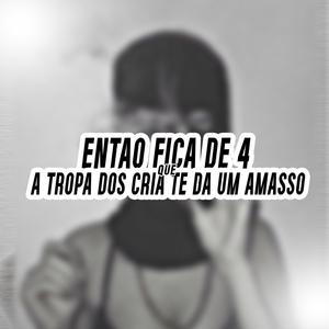ENTÃO FICA DE 4 QUE A TROPA DOS CRIA TE DA UM AMASSO (Explicit)