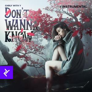 Don't Wanna Know (Instrumental)