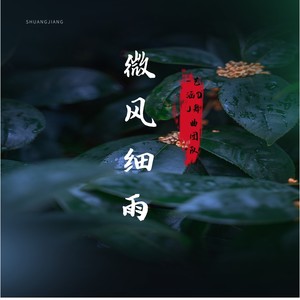 微风细雨 (DJ版)