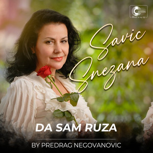 Da sam ruza (Live)