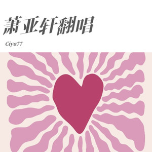 爱情的微光封面