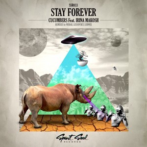 Stay Forever (Ludwix Remix)