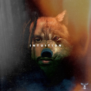 Intuition