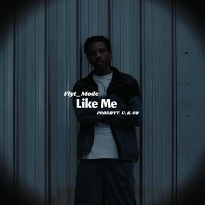 LIKE ME (feat. Flyt_Mode & T. U. K. 08) (Explicit)