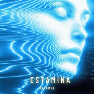 ESTAMINA