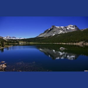 李果小提琴-夏夜 (蓝杰 remix)