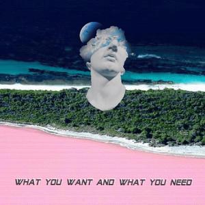 What You Want and What You Need (Explicit)