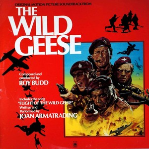 Wild Geese