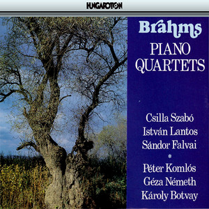 Piano Quartet No. 1 in G Minor, Op. 25 - Piano Quartet No. 1 in G Minor, Op. 25: III. Andante con moto (Arr. A. Schoenberg for orchestra)