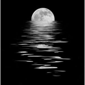 Adversaire (feat. Chef Ray) (Explicit)