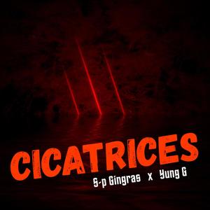 Cicatrices (feat. S-p Gingras) [Explicit]