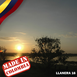 Made In Colombia: Llanera, Vol. 16