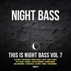 This is Night Bass Vol 7