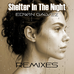 Shelter in the Night (Simon Hurtado Remix)
