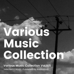 Various Music Collection Vol.165 -Selected & Music-Published by Audiostock-