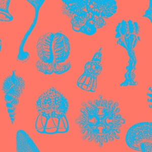 A Stone Left Unturned