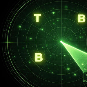 off the radar (feat. TRAV) (Explicit)