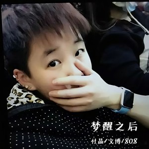 梦醒了你走吧 (Remix)