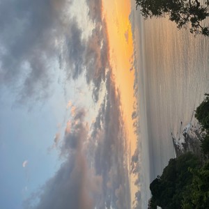 Whats The Vibe (feat. Ace Liberachi & Shawn Chrystopher) (Explicit)