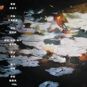 不解——《二哈和他的白猫师尊》楚晚宁个人曲
