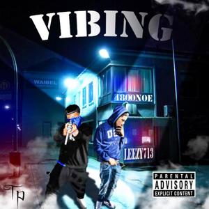 VIBING(feat. 4800 NOE) (Explicit)