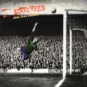 Flyscreen - Carl Zeiss Jena (2013 Version)