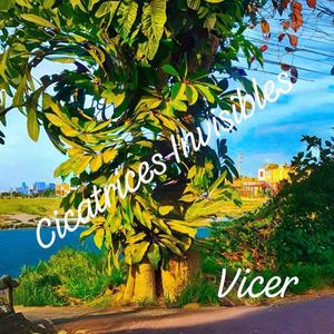 CIcatrices Invisibles