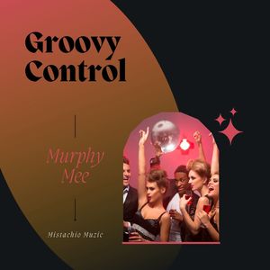 Groovy Control (Original Mix)