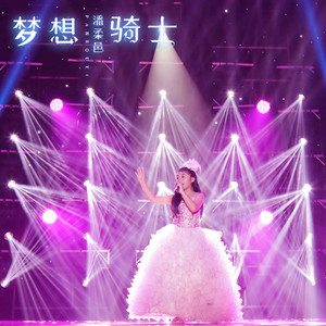 梦想骑士