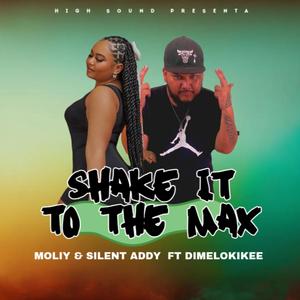 Dancehall (Shake It To The Max)