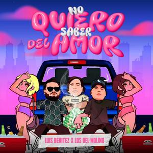 No Quiero Saber Del Amor (feat. Los Del Molino)