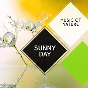 Sunny Day - Music of Nature