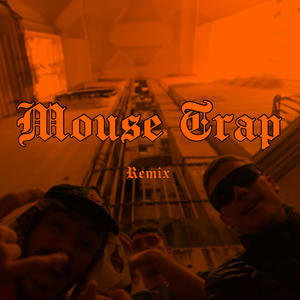 MOUSE TRAP REMIX. (feat. Ku$$in & DON VINYL) [Explicit]