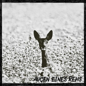 Augen eines Rehs (Explicit)