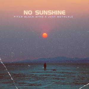 NO SUNSHINE (feat. Just Bothlale & Tshego Judah)