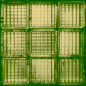 Morning Psalm (feat. Ben Cruse)