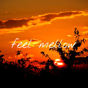 feel mellow (Explicit)