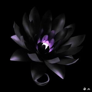 Cemetery Bliss (Chopped & Screwed RMX|Explicit)