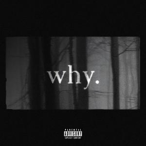 why. (feat. BudaMane) (Explicit)
