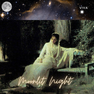 Moonlit Night