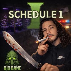 Schedule 1 (Explicit)